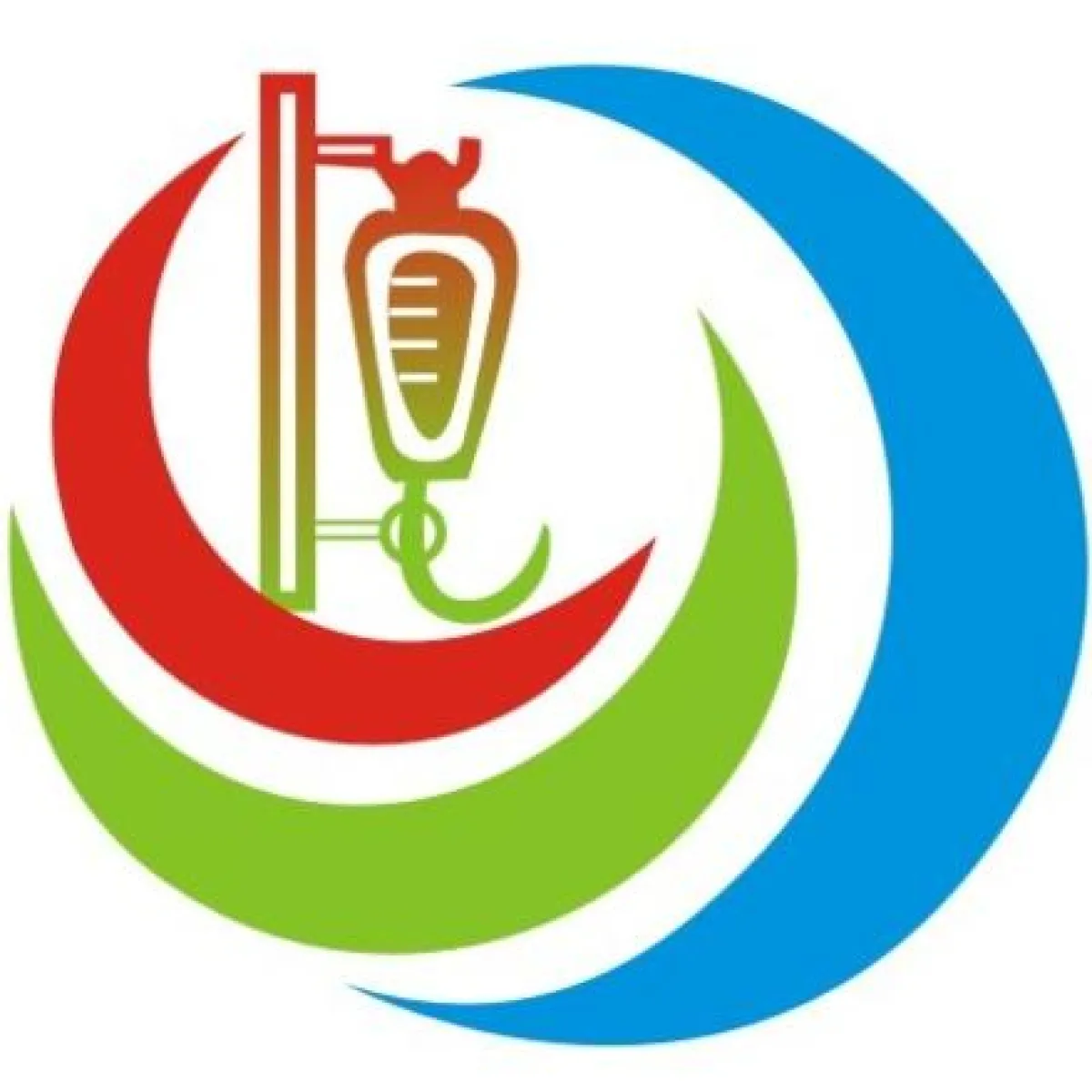 فیزیوتراپی در منزل کارشناس ارشد