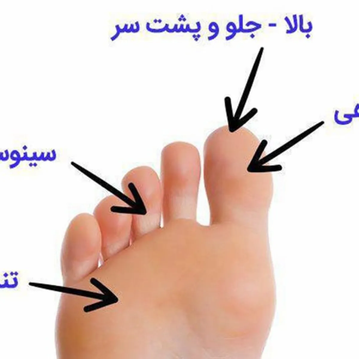 تصویر هادی بخشی کارشناس فیزیوتراپی