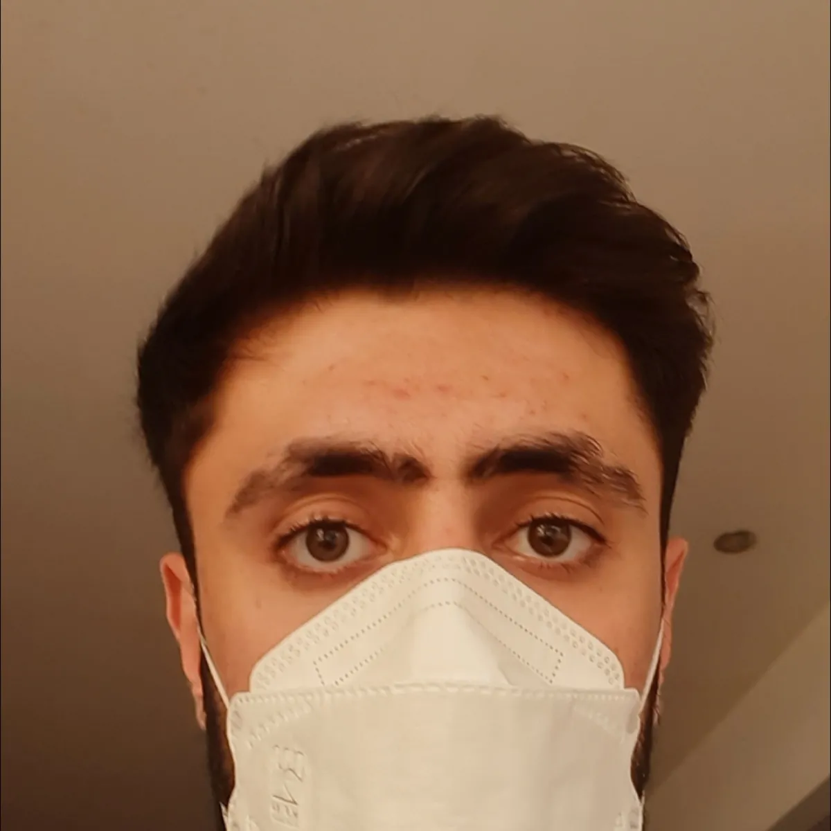 تصویر امیرحسین محمدی کارشناس فیزیوتراپی