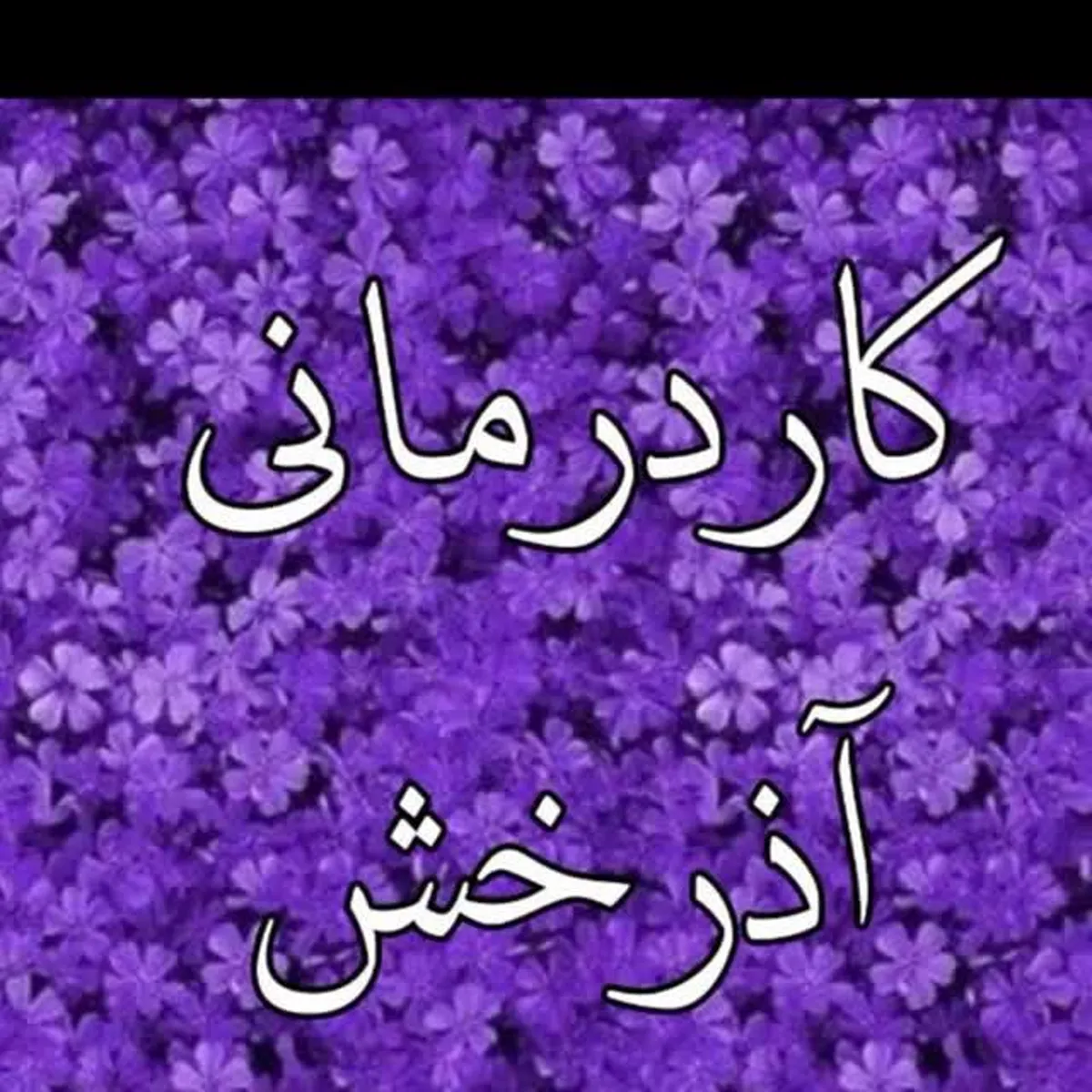 موسی آقائی لامع کارشناس کاردرمانی